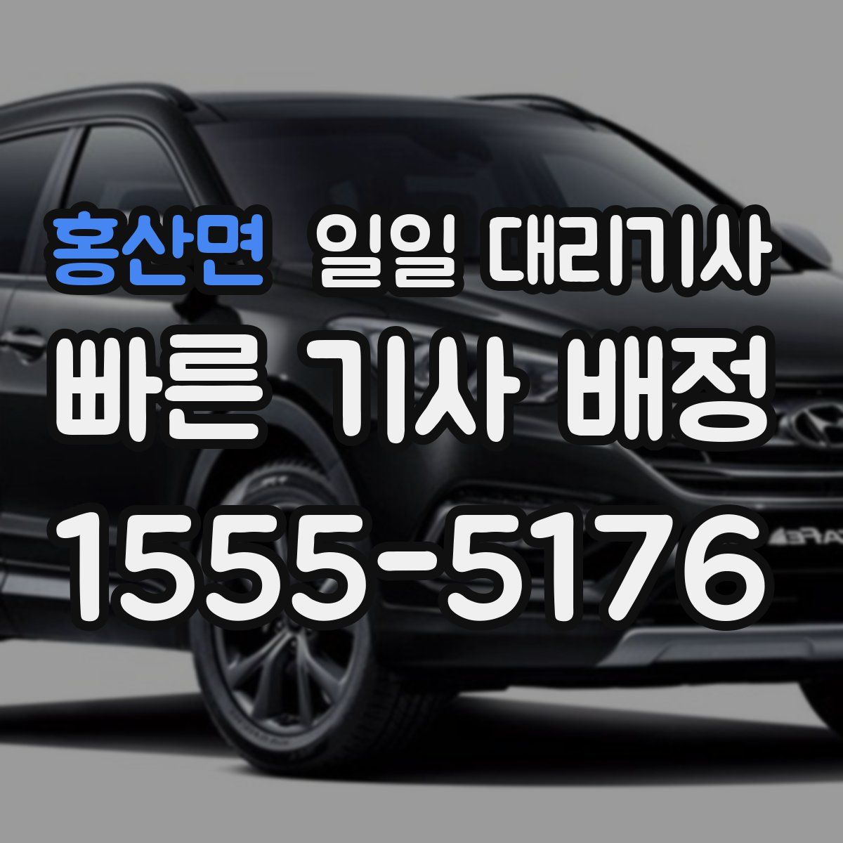 홍산면 일일 대리기사