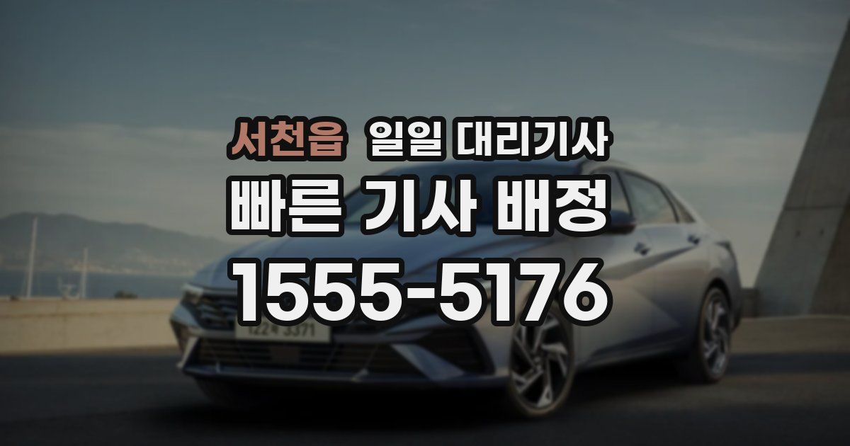 서천읍 일일 대리기사