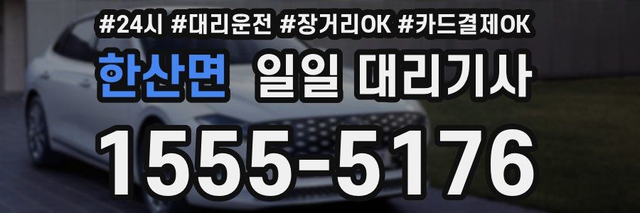 한산면 일일 대리기사