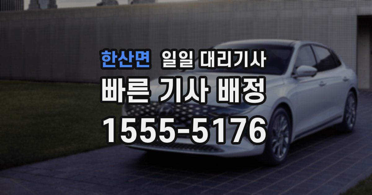 한산면 일일 대리기사