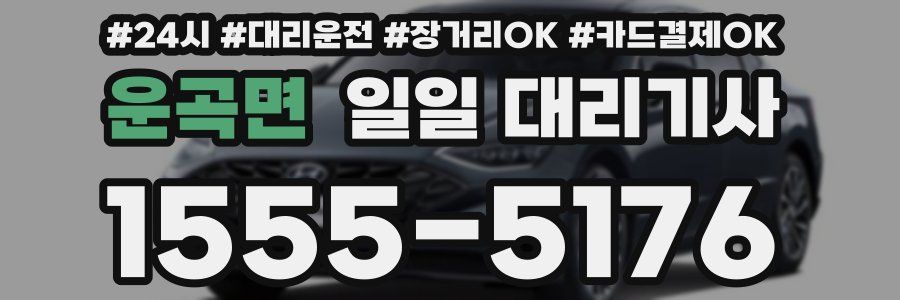 운곡면 일일 대리기사