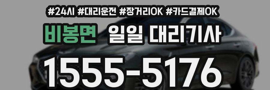 비봉면 일일 대리기사