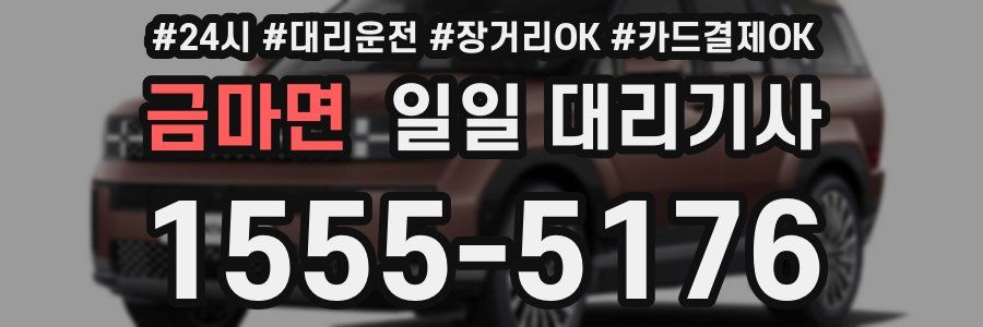 금마면 일일 대리기사