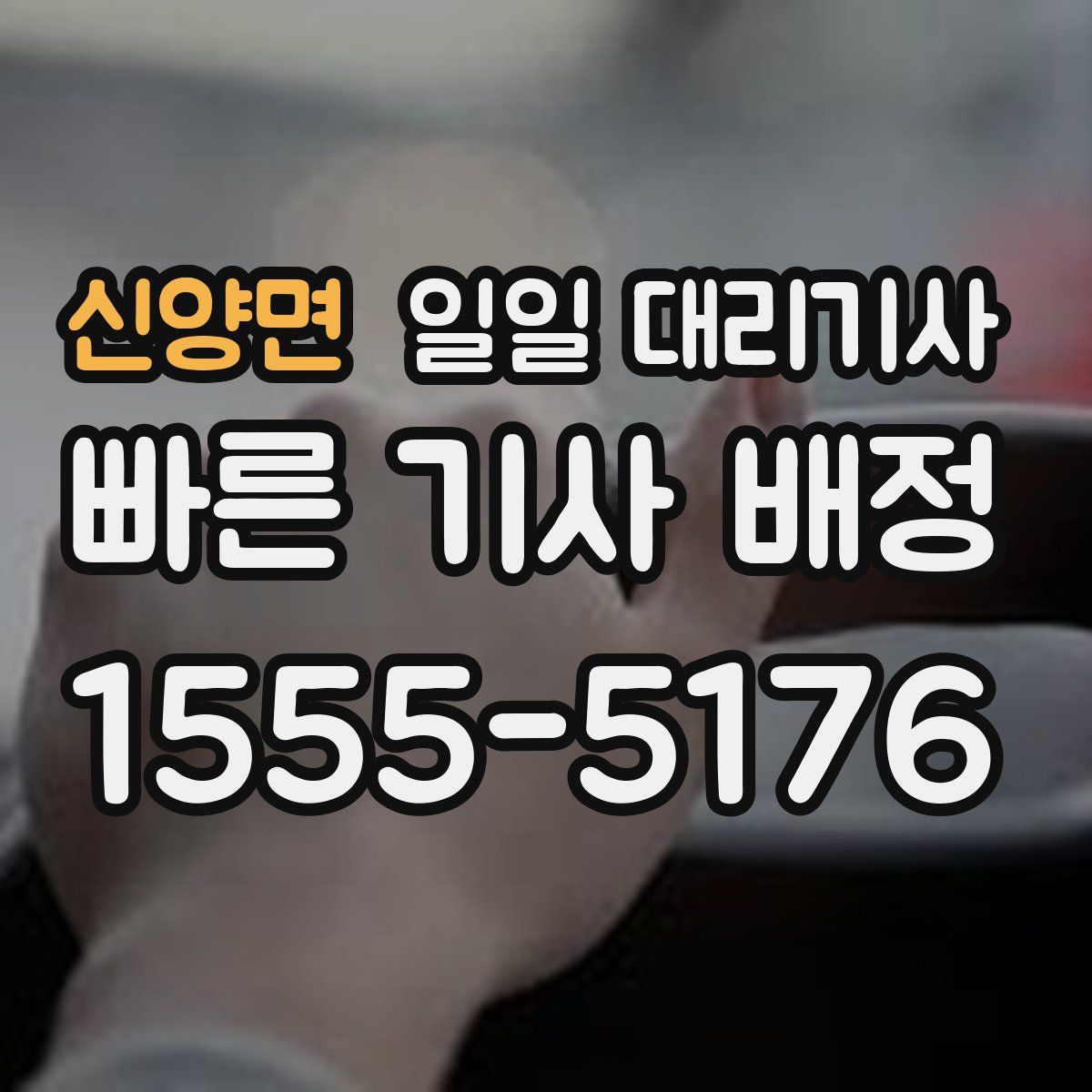 신양면 일일 대리기사