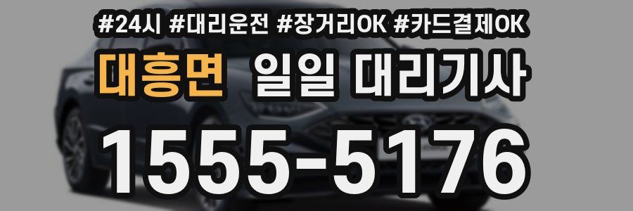 대흥면 일일 대리기사