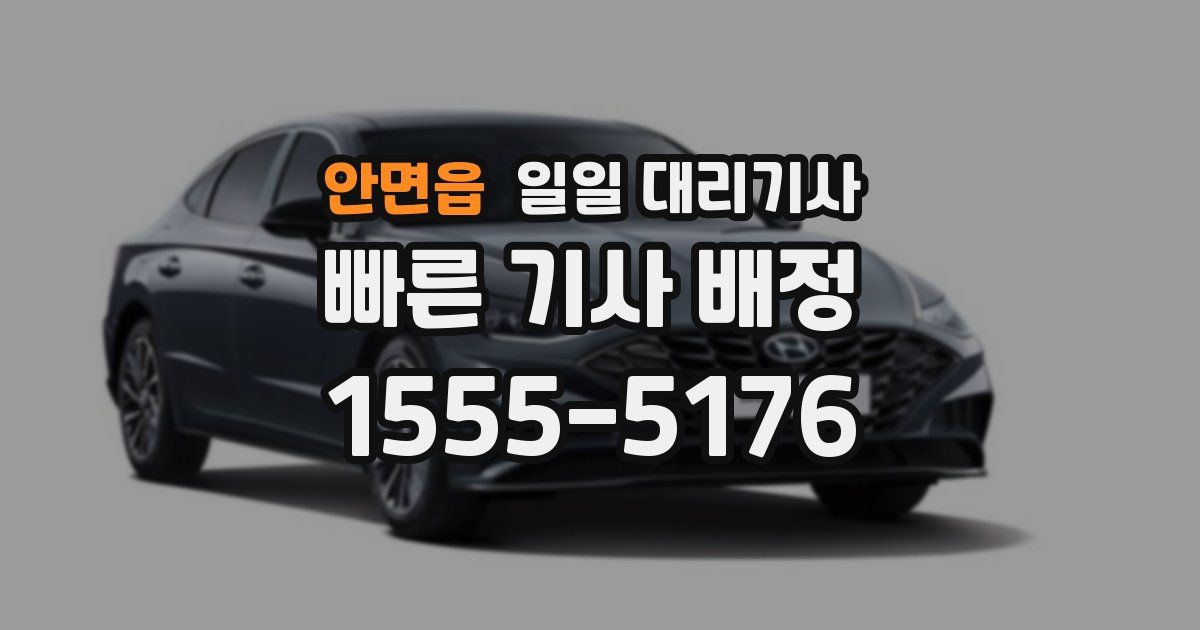 안면읍 일일 대리기사