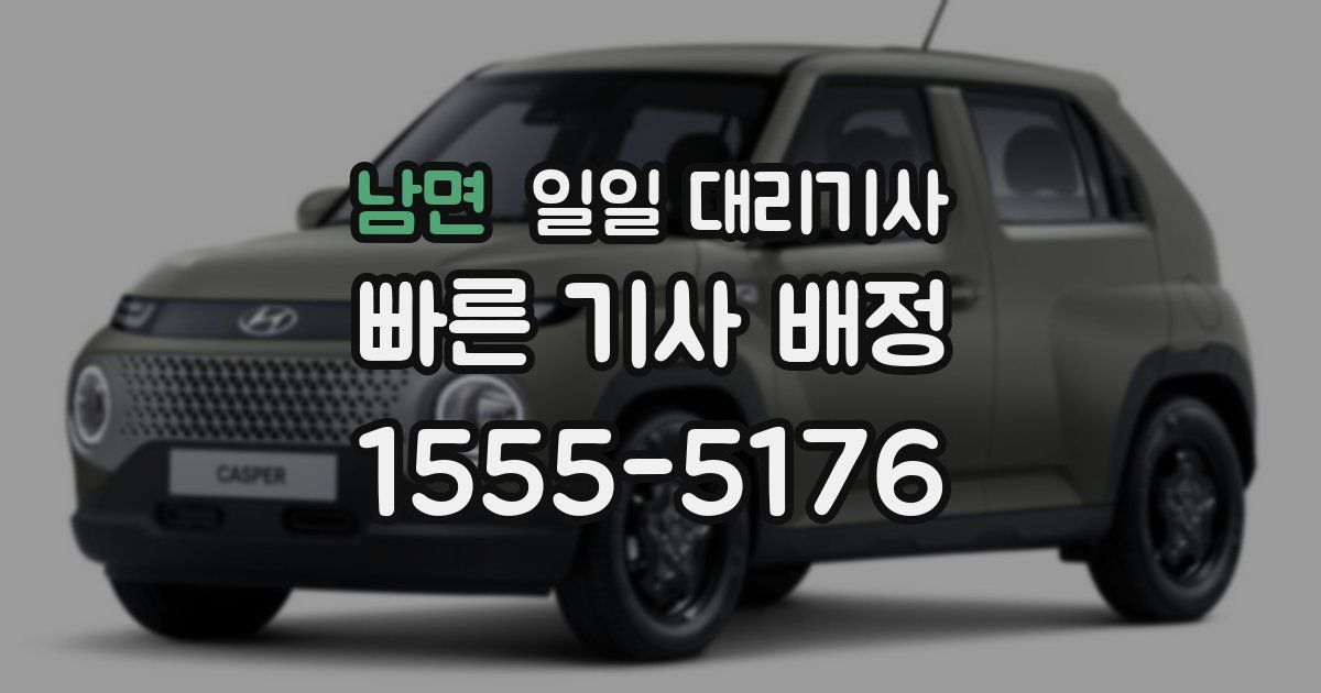 남면 일일 대리기사