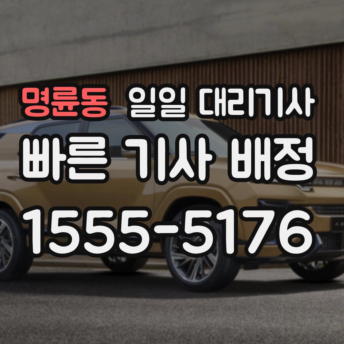 명륜동 일일 대리기사