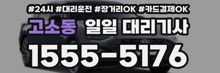 고소동 일일 대리기사