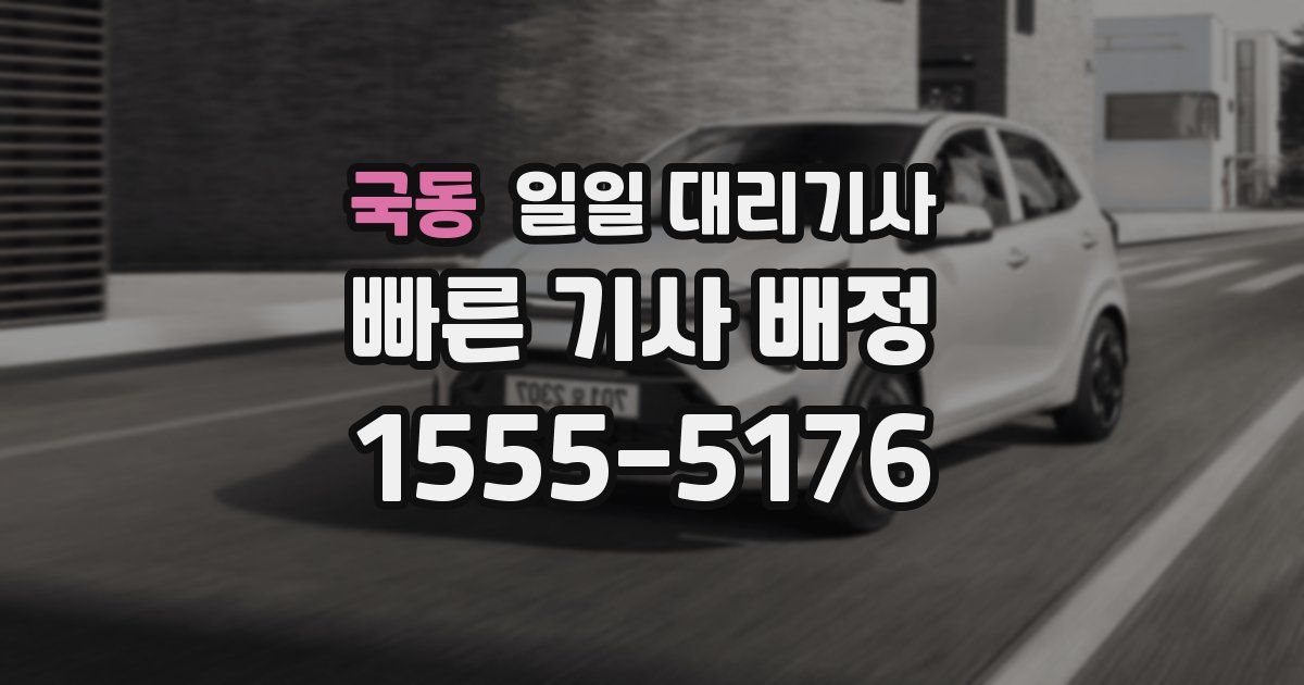 국동 일일 대리기사