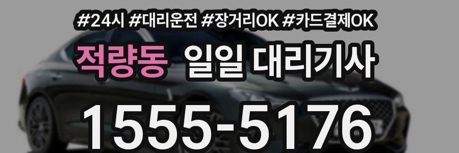 적량동 일일 대리기사