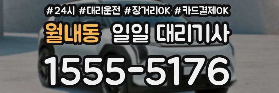 월내동 일일 대리기사