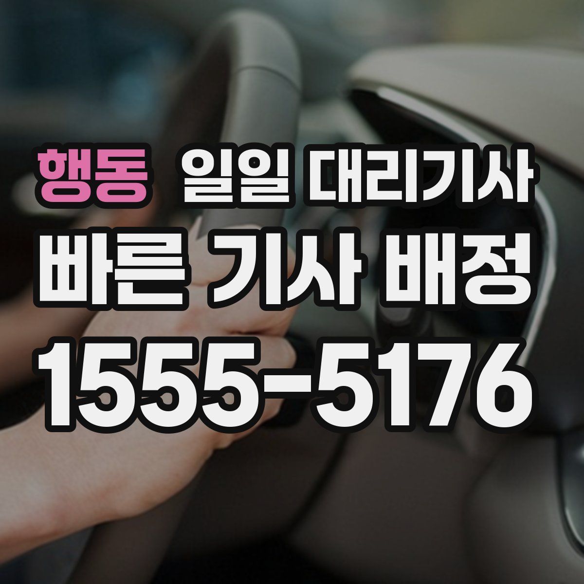 행동 일일 대리기사