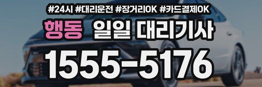행동 일일 대리기사