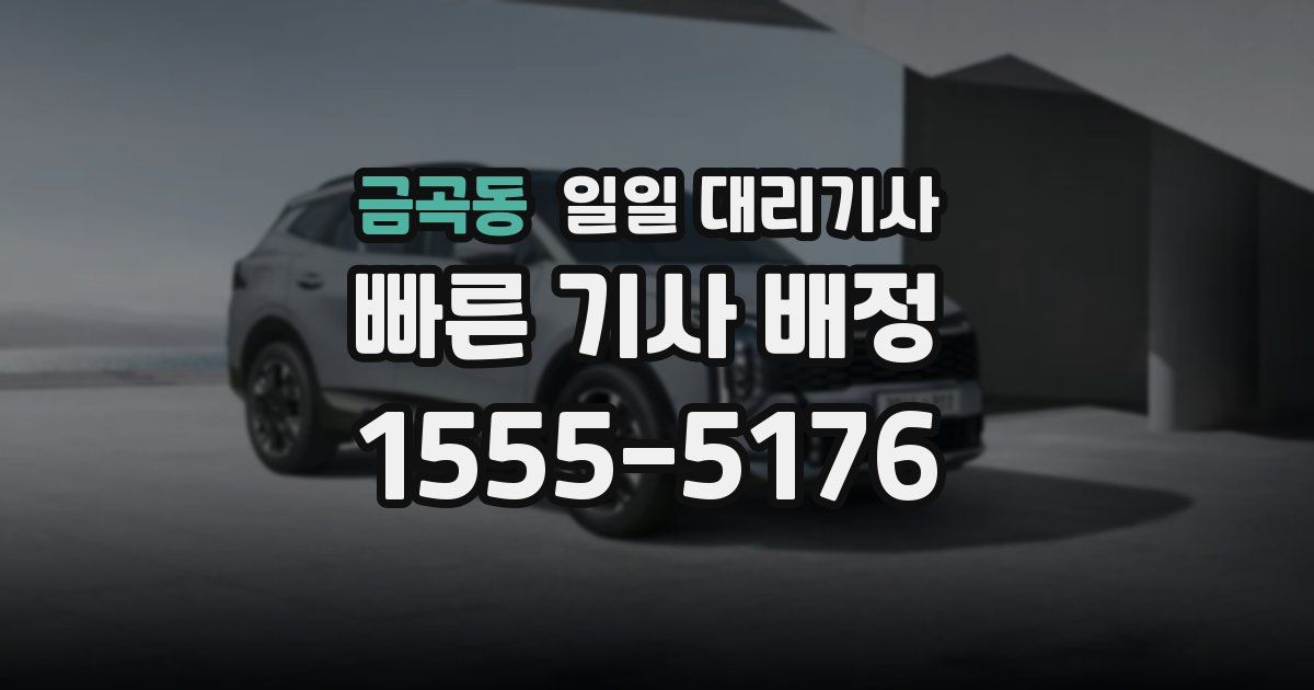 금곡동 일일 대리기사