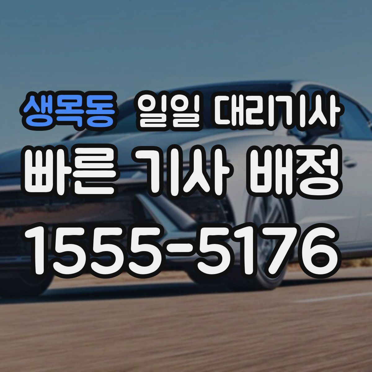 생목동 일일 대리기사