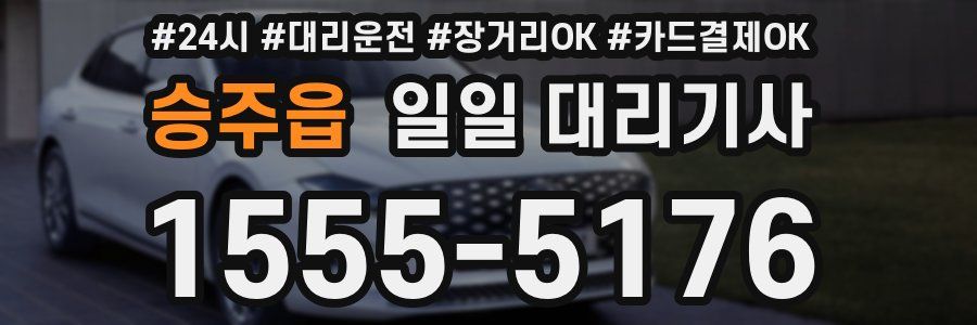 승주읍 일일 대리기사