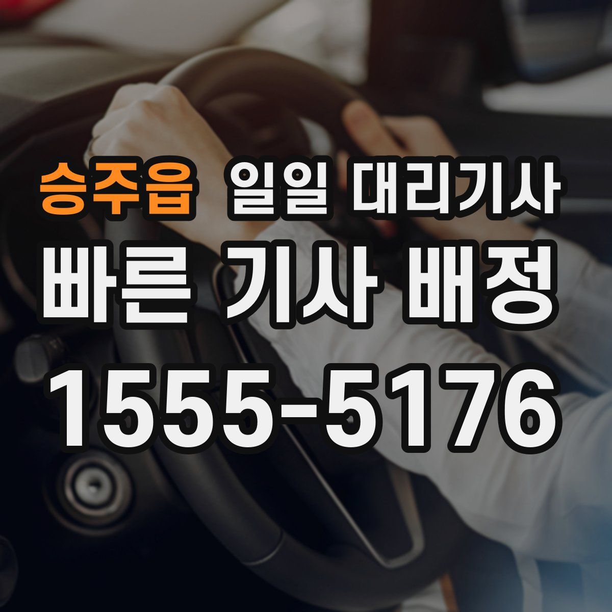 승주읍 일일 대리기사