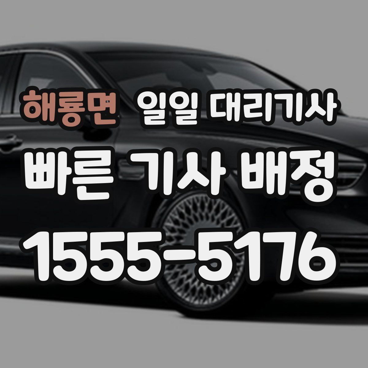 해룡면 일일 대리기사