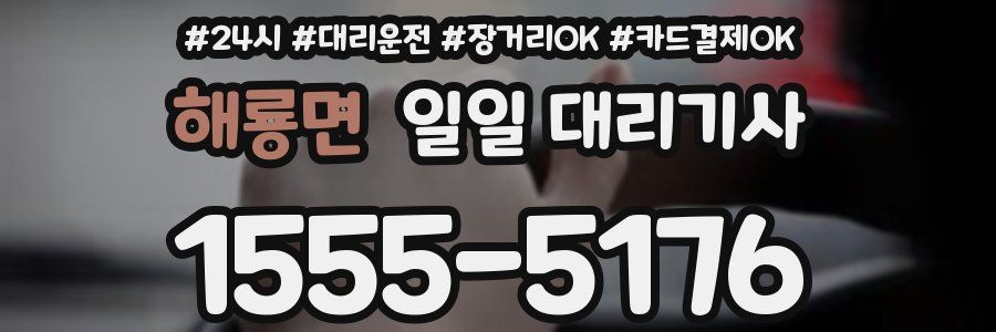해룡면 일일 대리기사
