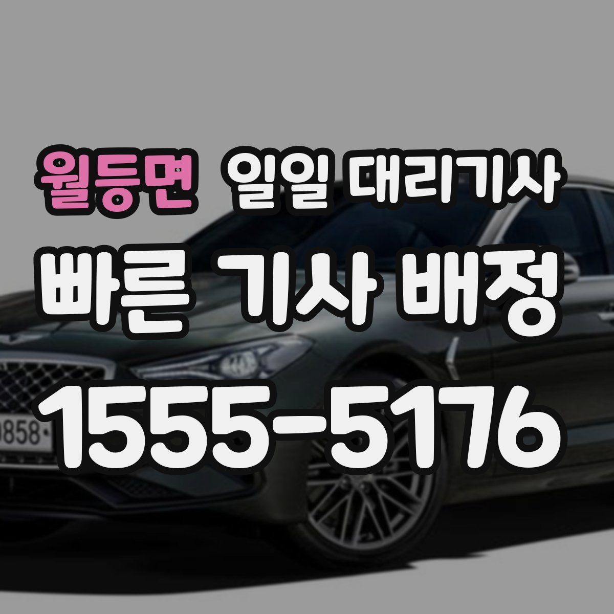 월등면 일일 대리기사