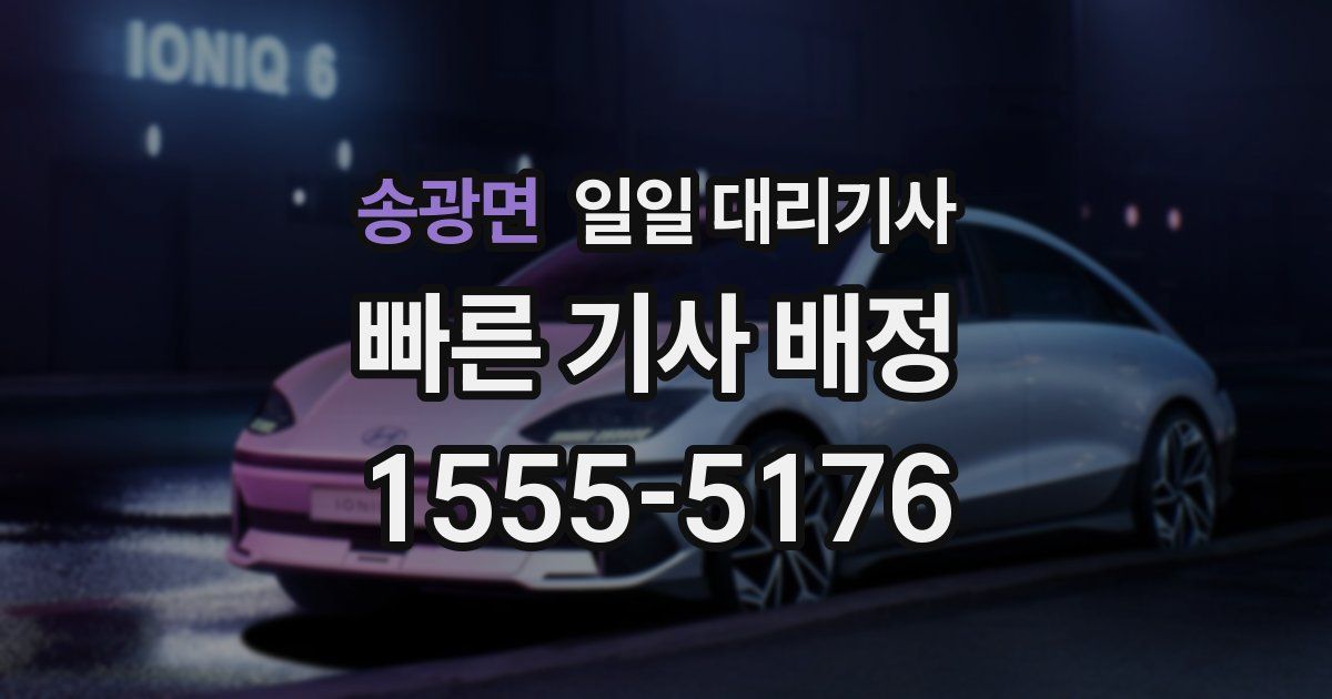 송광면 일일 대리기사