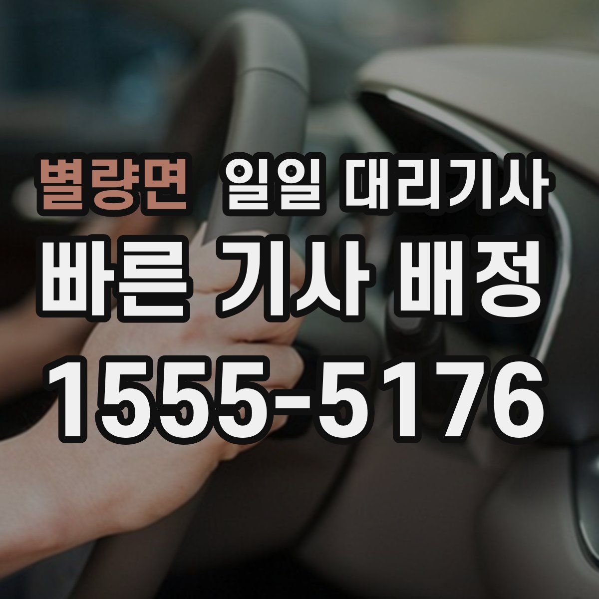 별량면 일일 대리기사