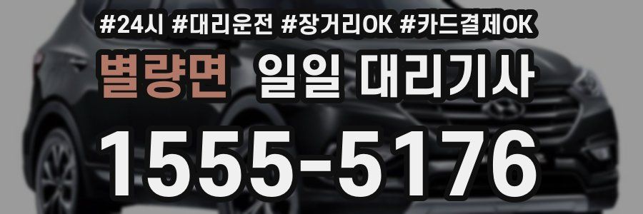 별량면 일일 대리기사