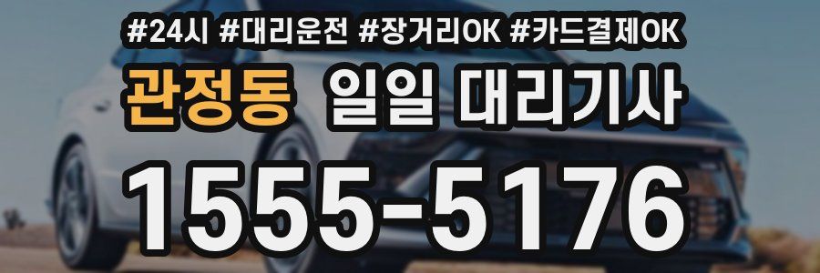 관정동 일일 대리기사