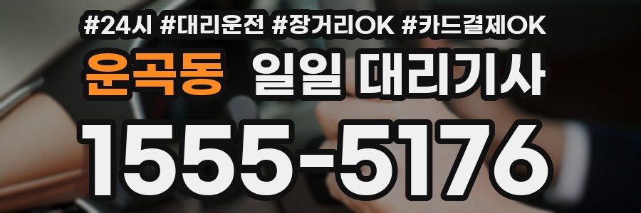 운곡동 일일 대리기사