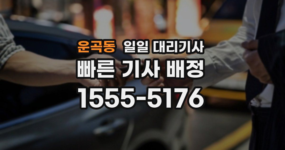 운곡동 일일 대리기사