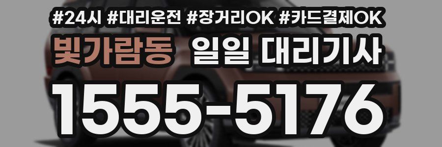 빛가람동 일일 대리기사