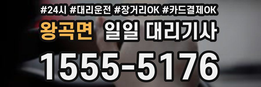 왕곡면 일일 대리기사