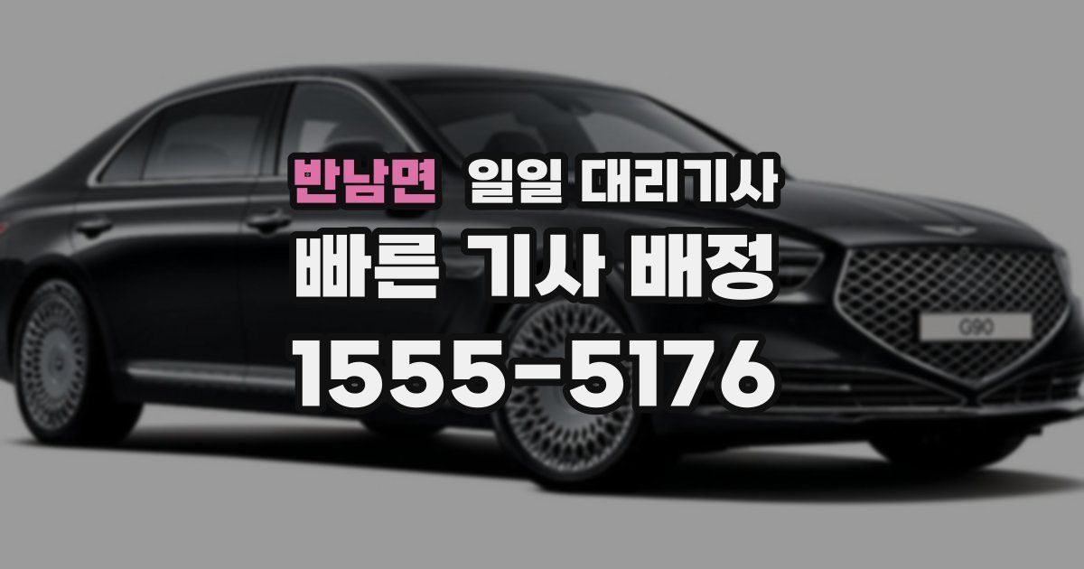 반남면 일일 대리기사