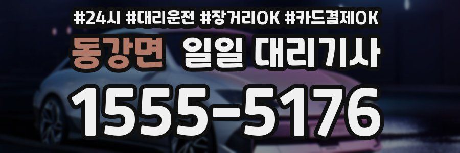 동강면 일일 대리기사