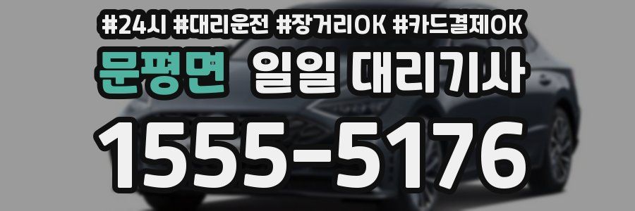 문평면 일일 대리기사