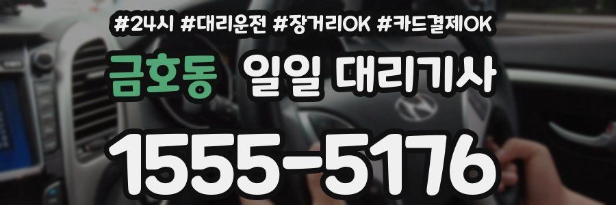 금호동 일일 대리기사