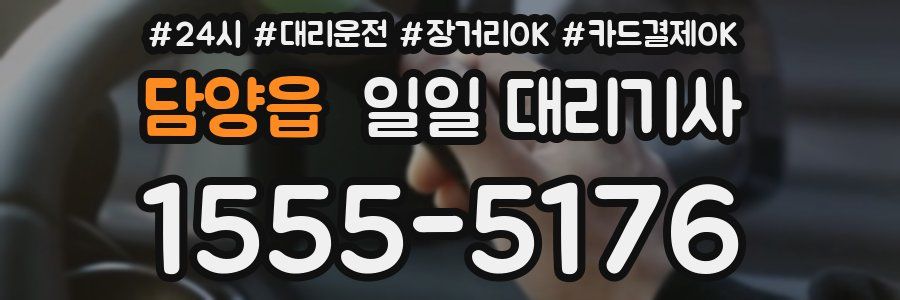 담양읍 일일 대리기사