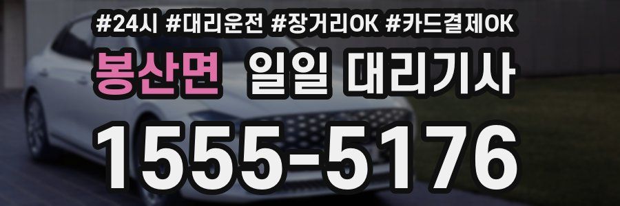 봉산면 일일 대리기사