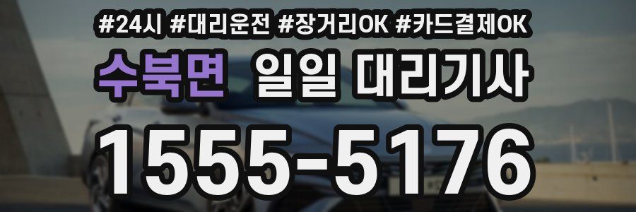 수북면 일일 대리기사