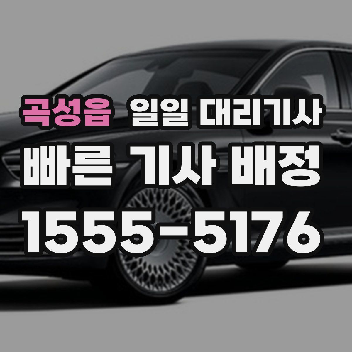 곡성읍 일일 대리기사