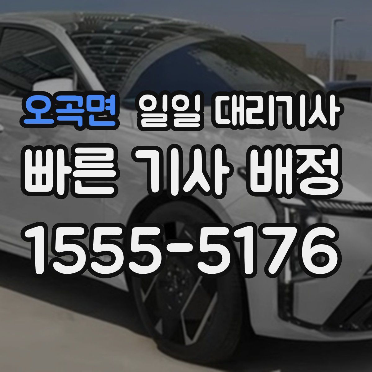 오곡면 일일 대리기사