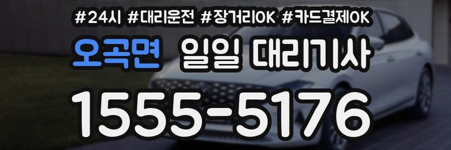 오곡면 일일 대리기사
