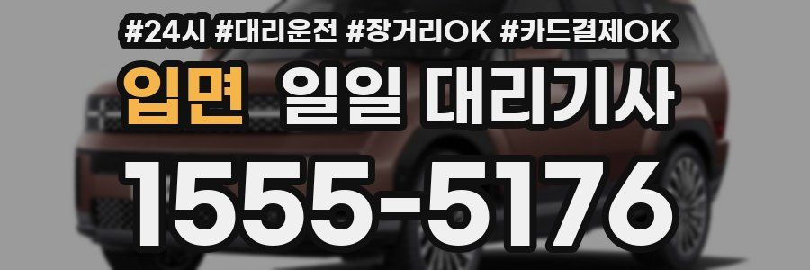 입면 일일 대리기사