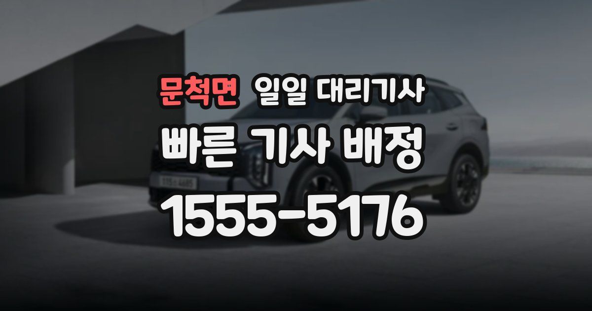 문척면 일일 대리기사