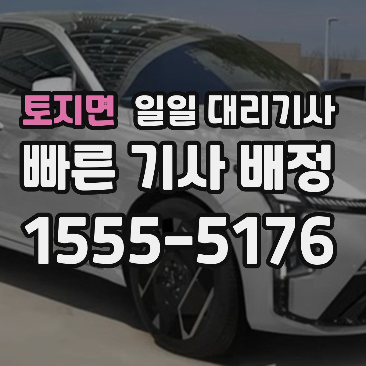 토지면 일일 대리기사
