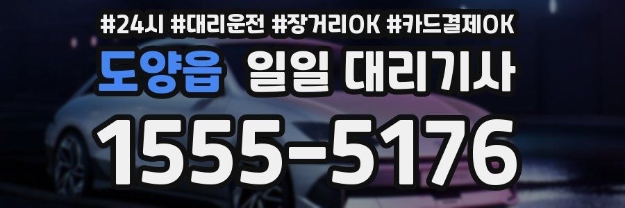 도양읍 일일 대리기사