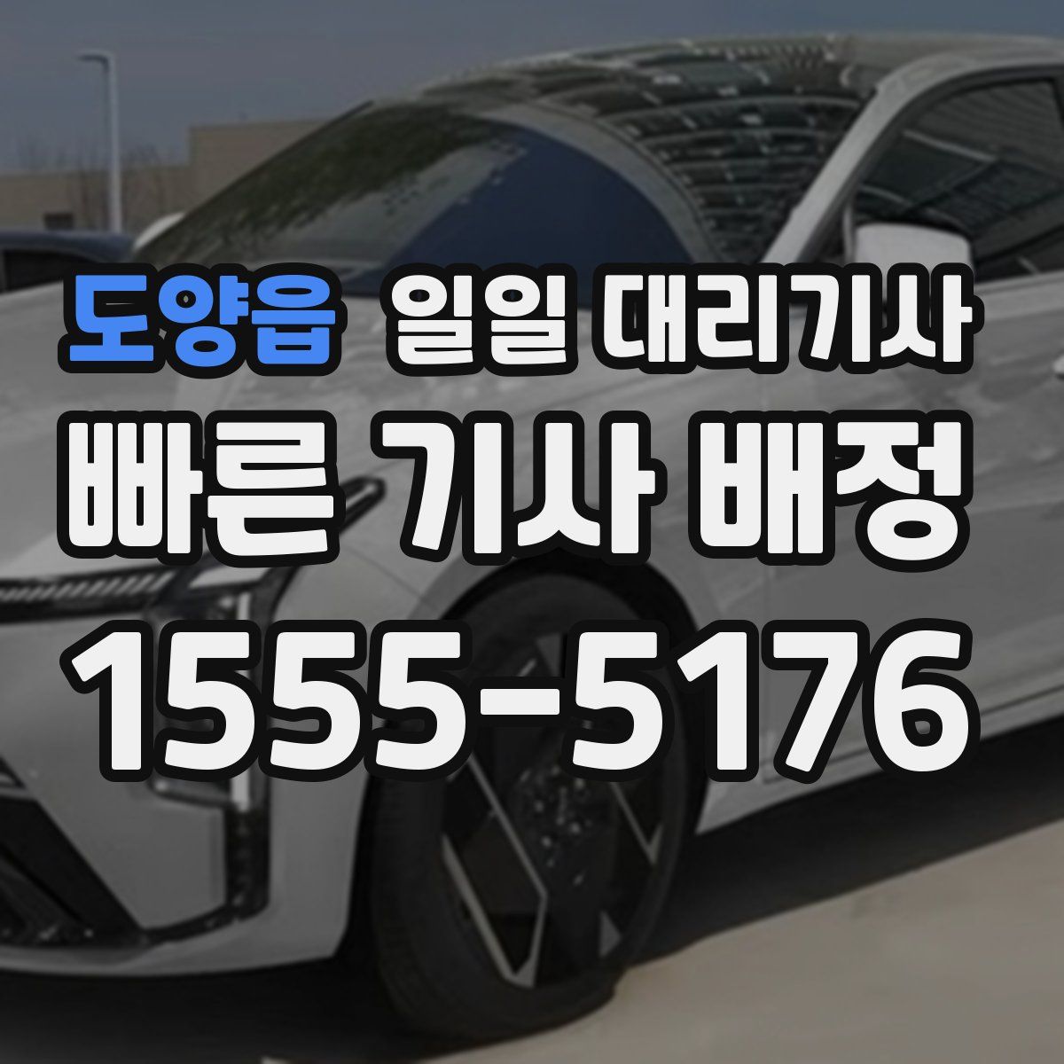 도양읍 일일 대리기사