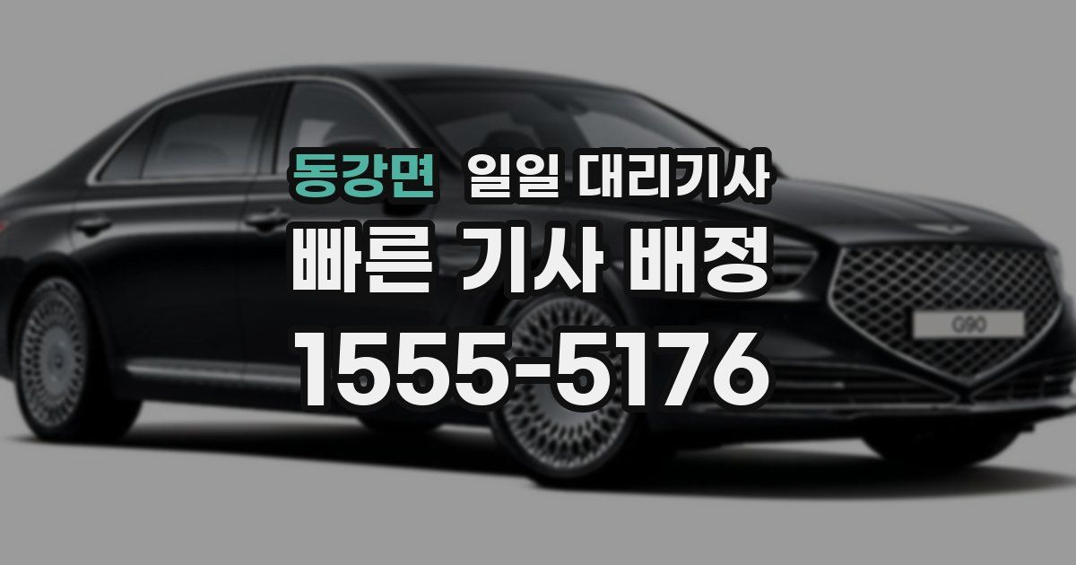 동강면 일일 대리기사