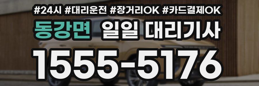 동강면 일일 대리기사